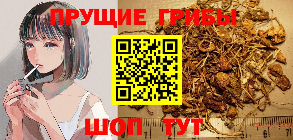 Псилоцибиновые грибы GOLDEN TEACHER Сарапул
